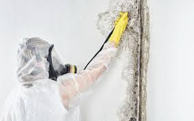 Best Dehumidification Services  in Genesee, ID